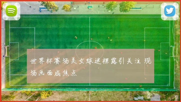 世界杯赛场美女球迷裸露引关注 现场画面成焦点
